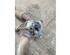 Catalytic Converter MERCEDES-BENZ VITO Van (W447), MERCEDES-BENZ VITO Mixto (Double Cabin) (W447)