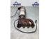 Catalytic Converter HYUNDAI i10 (PA)