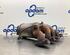 Catalytic Converter OPEL ASTRA G Hatchback (T98)