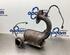 Catalytic Converter RENAULT CLIO III (BR0/1, CR0/1)