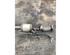 Catalytic Converter MERCEDES-BENZ A-CLASS (W177)