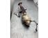 Catalytic Converter FORD FOCUS IV Turnier (HP)