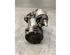 Starter FIAT 500 (312_), FIAT 500 C (312_), ALFA ROMEO MITO (955_), FIAT PUNTO (199_)