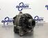 Alternator RENAULT MODUS / GRAND MODUS (F/JP0_)