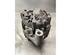 Alternator OPEL INSIGNIA A Sports Tourer (G09), OPEL INSIGNIA A (G09)