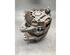 Dynamo (Alternator) NISSAN QASHQAI / QASHQAI +2 I (J10, NJ10, JJ10E)