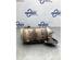 Diesel Particulate Filter (DPF) RENAULT CAPTUR I (J5_, H5_), RENAULT CLIO IV (BH_)