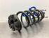 Coil Spring RENAULT CAPTUR I (J5_, H5_), RENAULT CLIO IV (BH_)