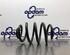 Coil Spring RENAULT CLIO II (BB_, CB_), RENAULT THALIA I (LB_), RENAULT CLIO III (BR0/1, CR0/1)