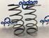 Coil Spring HYUNDAI i10 (PA)