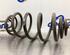 Coil Spring RENAULT KANGOO Express (FW0/1_), RENAULT KANGOO / GRAND KANGOO (KW0/1_)