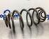 Coil Spring RENAULT KANGOO Express (FW0/1_), RENAULT KANGOO / GRAND KANGOO (KW0/1_)