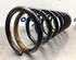 Coil Spring FORD FOCUS (DAW, DBW)