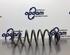 Coil Spring RENAULT SCÉNIC II (JM0/1_), RENAULT GRAND SCÉNIC II (JM0/1_)