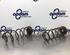 Coil Spring MERCEDES-BENZ B-CLASS (W245)