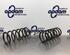 Coil Spring FIAT PANDA (312_, 319_), FIAT PANDA VAN (312_, 519_), LANCIA YPSILON (312_)