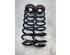 Coil Spring VW TIGUAN (AD1, AX1), VW TIGUAN ALLSPACE (BW2)