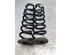 Coil Spring VW TIGUAN (AD1, AX1), VW TIGUAN ALLSPACE (BW2)