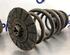 Coil Spring MERCEDES-BENZ VIANO (W639)