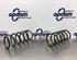 Coil Spring FIAT PANDA (169_), FIAT PANDA Hatchback Van (169_)