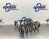 Coil Spring SUZUKI SX4 (EY, GY), SUZUKI SX4 Saloon (GY, RW)