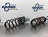 Coil Spring KIA RIO III (UB), KIA RIO III Saloon (UB)