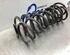 Coil Spring FORD FOCUS II (DA_, HCP, DP)