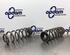 Coil Spring SEAT LEON (1P1)