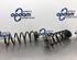 Coil Spring AUDI A4 (8W2, 8WC, B9), AUDI A4 (8K2, B8)