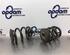 Coil Spring BMW 3 Convertible (E46)