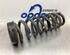 Coil Spring BMW 3 (E90)