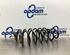 Coil Spring SEAT ALTEA (5P1), SEAT ALTEA XL (5P5, 5P8), SEAT TOLEDO III (5P2)