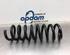 Coil Spring MERCEDES-BENZ C-CLASS (W203)