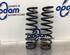 Coil Spring BMW 3 Touring (E91)