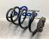 Coil Spring RENAULT MODUS / GRAND MODUS (F/JP0_)