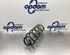 Coil Spring SUZUKI SPLASH (EX)