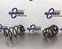 Coil Spring RENAULT CLIO III (BR0/1, CR0/1), RENAULT CLIO IV (BH_), RENAULT CLIO II (BB_, CB_)