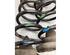 Coil Spring RENAULT KADJAR (HA_, HL_)