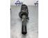 Suspension Strut VW GOLF V (1K1), VW GOLF VI (5K1), VW GOLF VAN VI Variant (AJ5), VW GOLF VI Van (5K1_)