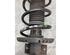 Suspension Strut VW POLO (6R1, 6C1), VW POLO Van (6R)