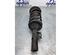 Suspension Strut KIA PICANTO (SA)