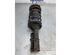 Suspension Strut KIA PICANTO (SA)