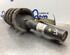 Suspension Strut FORD TRANSIT CONNECT (P65_, P70_, P80_)