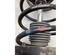 Suspension Strut RENAULT MEGANE III Grandtour (KZ0/1)