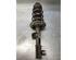 Suspension Strut FIAT PANDA (312_, 319_)