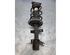 Suspension Strut RENAULT CLIO III Grandtour (KR0/1_)