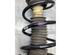 Suspension Strut RENAULT CLIO III Grandtour (KR0/1_)