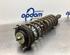 Suspension Strut TOYOTA STARLET (_P9_)