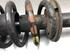 Suspension Strut VW PASSAT Variant (3B6)