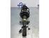 Suspension Strut RENAULT CAPTUR I (J5_, H5_), RENAULT CLIO IV (BH_)